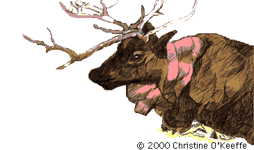 [reindeer illustration]