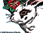 [Link to Bunny Rabbit Portrait - 13k]